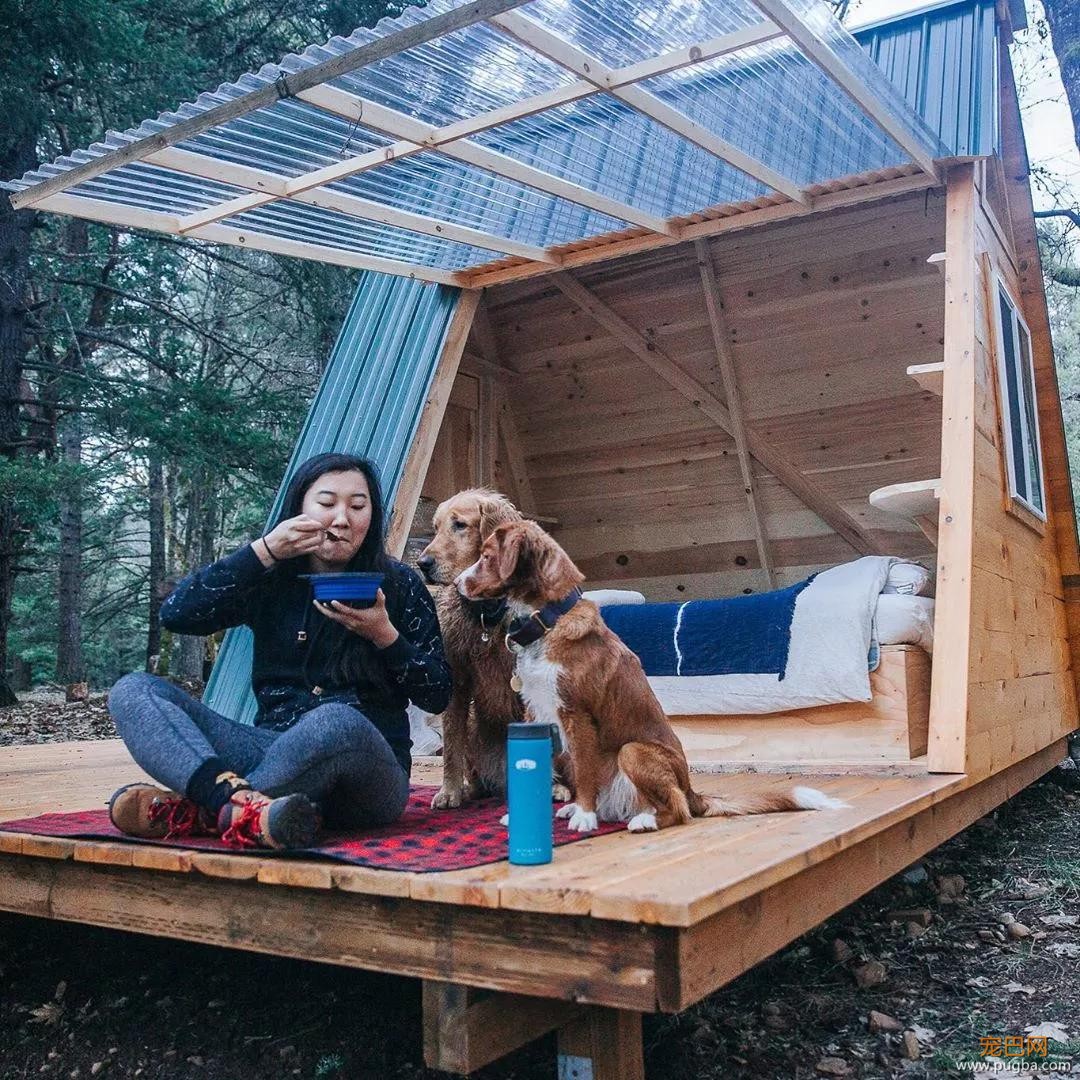 金毛入选导盲犬后患上抑郁症，被基地开除后摇身一变成旅游博主！-17.jpg