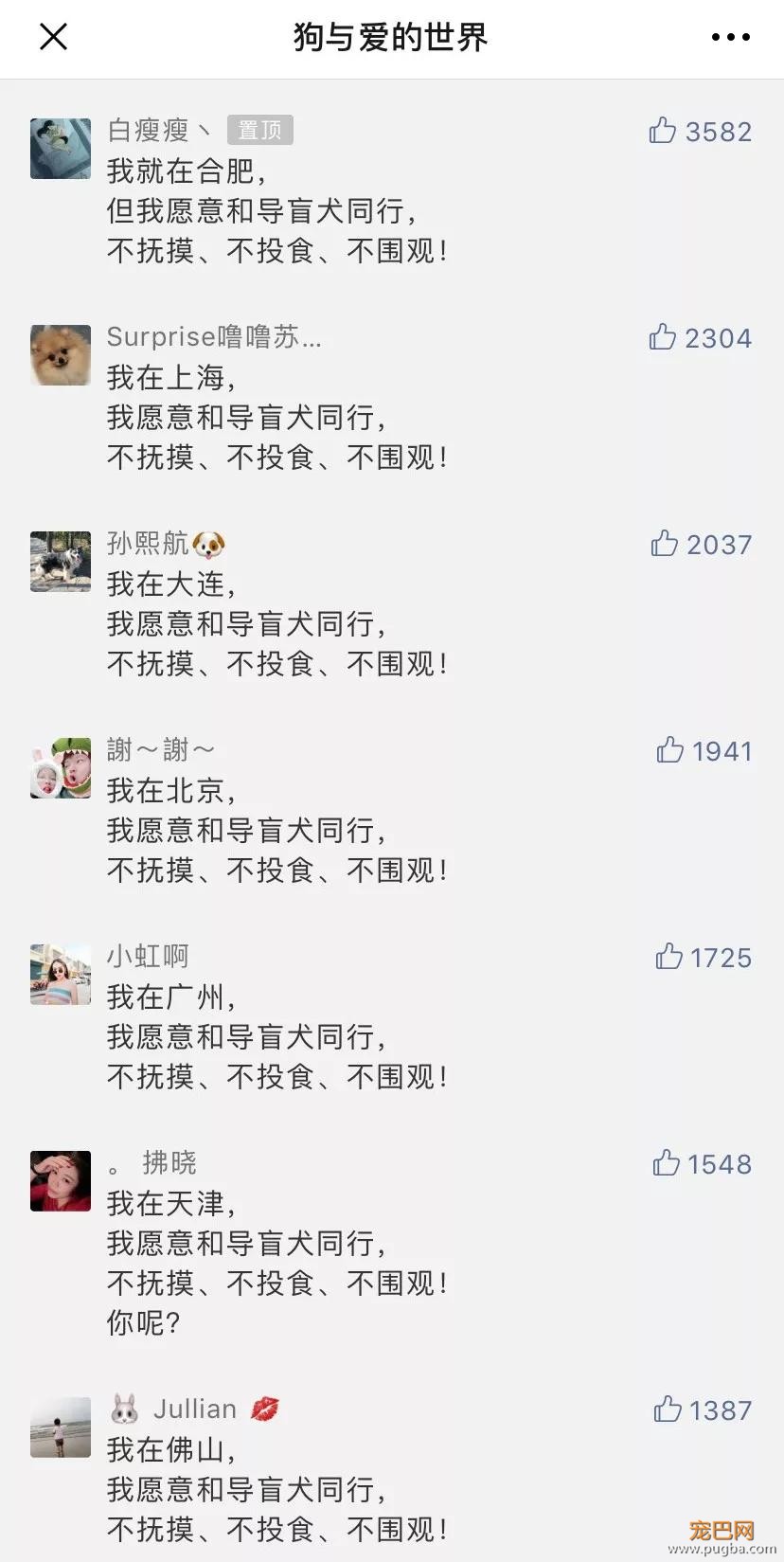 金毛入选导盲犬后患上抑郁症，被基地开除后摇身一变成旅游博主！-40.jpg