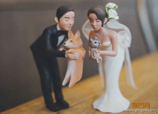 把狗狗的肖像定制在结婚蛋糕上？网友直呼想再结一次婚-6.jpeg