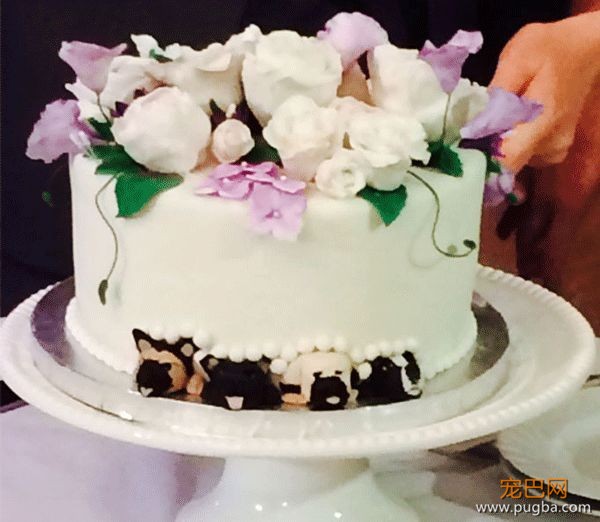 把狗狗的肖像定制在结婚蛋糕上？网友直呼想再结一次婚-16.jpeg