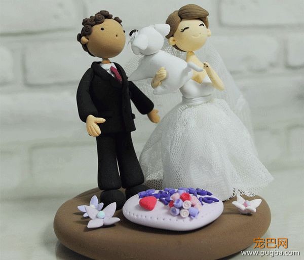 把狗狗的肖像定制在结婚蛋糕上？网友直呼想再结一次婚-20.jpeg
