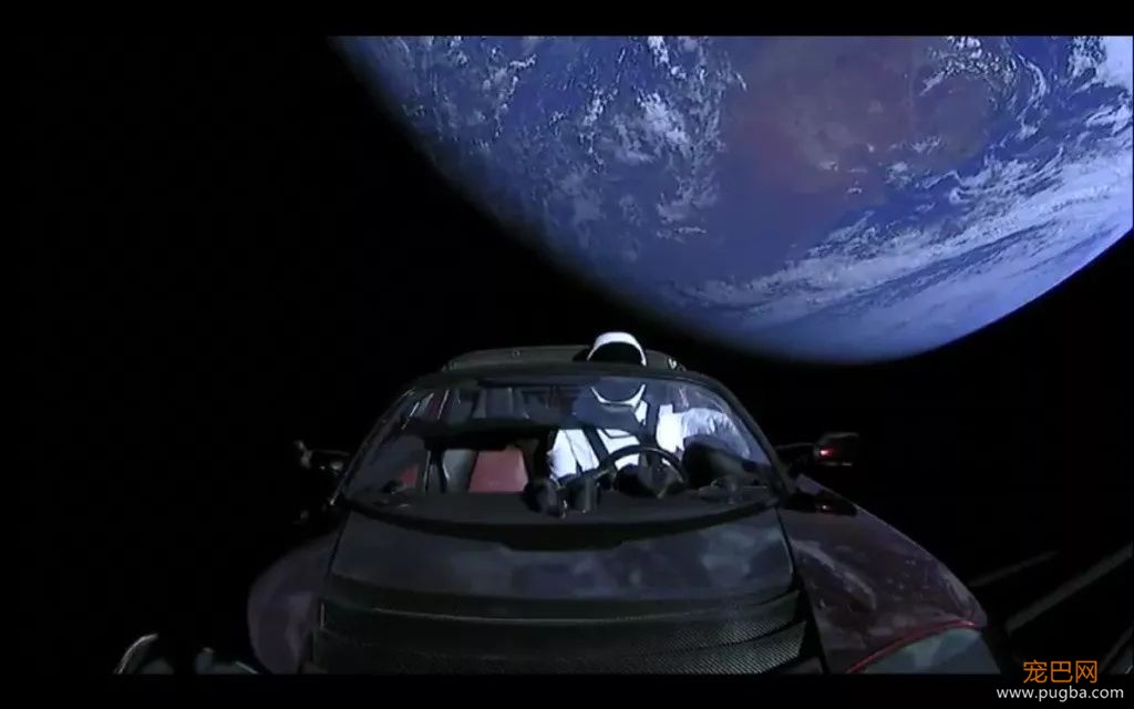 SpaceX把特斯拉送上太空，希望死在银河的小狗莱卡感到安慰-6.jpeg