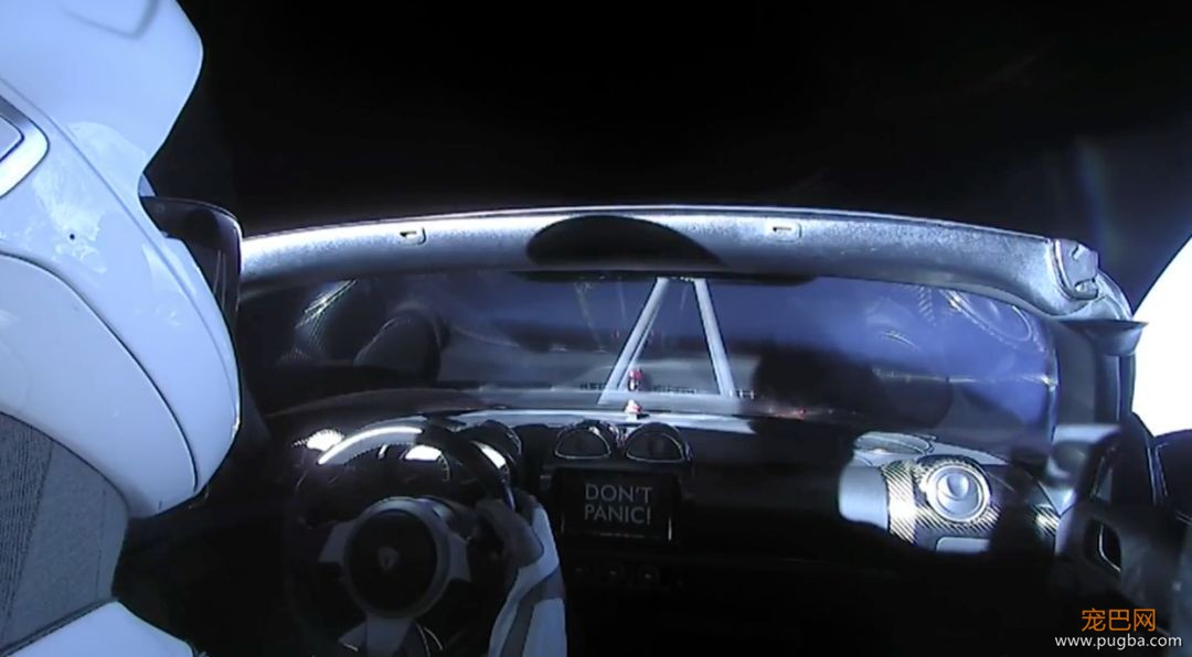 SpaceX把特斯拉送上太空，希望死在银河的小狗莱卡感到安慰-4.jpeg