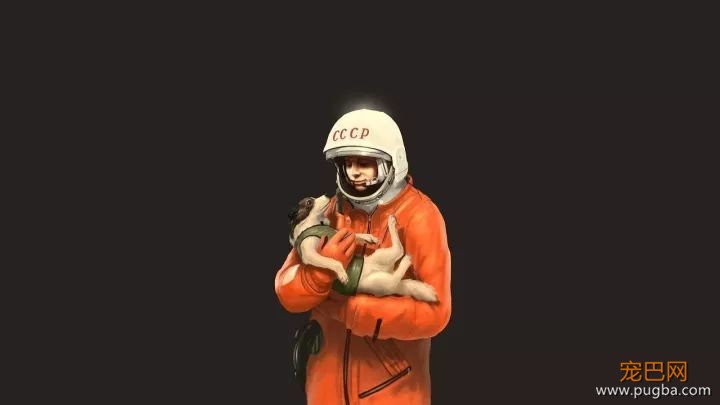 SpaceX把特斯拉送上太空，希望死在银河的小狗莱卡感到安慰-7.jpeg