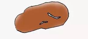 狗狗便便里的学问-7.jpeg