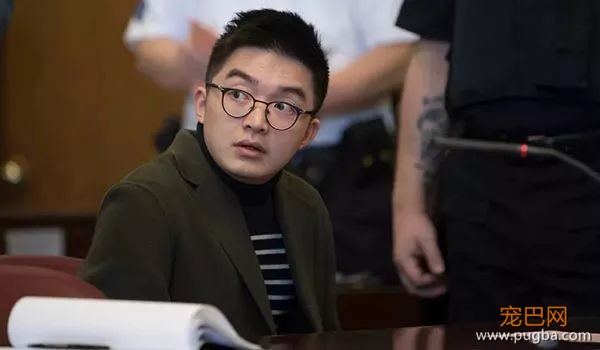 华裔精英虐杀女友宠物，找个爱狗的男友是多么重要！-4.jpeg