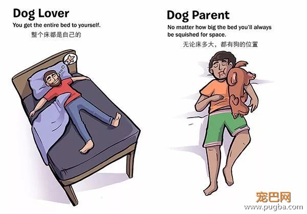 华裔精英虐杀女友宠物，找个爱狗的男友是多么重要！-10.jpeg
