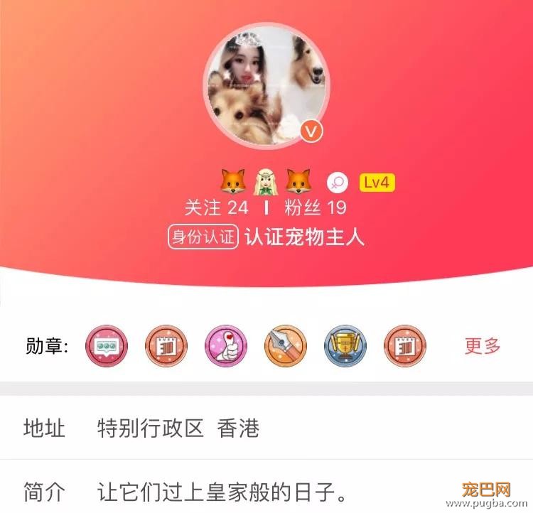 住6星级酒店，上米兰时装周，这两位是狗中贵族吧！-2.jpg