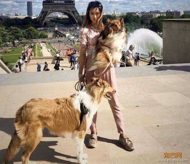 住6星级酒店，上米兰时装周，这两位是狗中贵族吧！-1.jpg