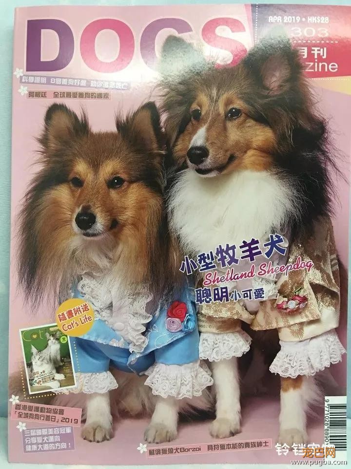住6星级酒店，上米兰时装周，这两位是狗中贵族吧！-18.jpg