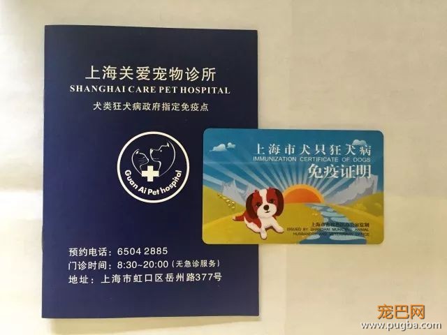 上海至西雅图，一条狗飞10000公里需要经历什么-4.jpeg