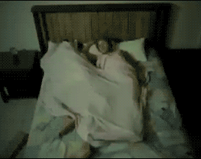 养了一只“和女朋友同款睡姿”的狗是怎样的体验？-1.gif