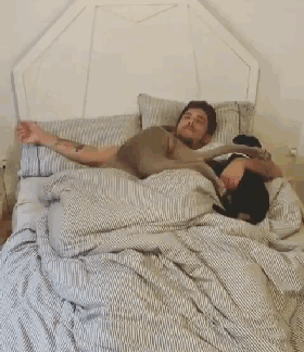 养了一只“和女朋友同款睡姿”的狗是怎样的体验？-2.gif