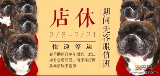 你是单身狗？不好意思啊，狗它并不单身-13.jpeg
