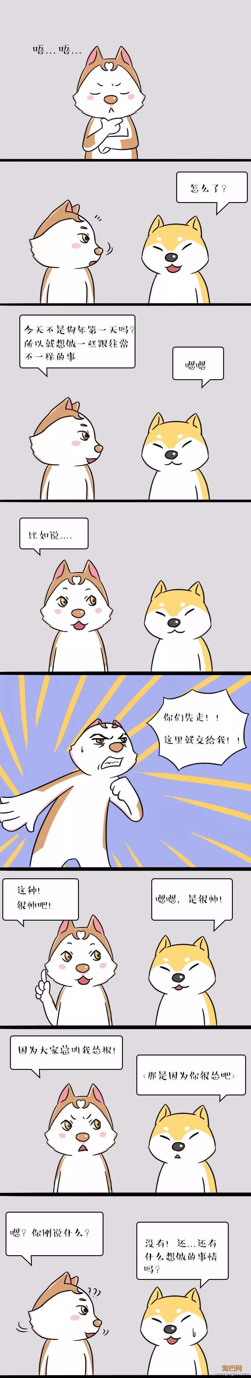 培根：新的一年，我想深刻一点-1.jpeg