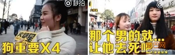 如何取悦养狗的女孩子？-3.jpeg