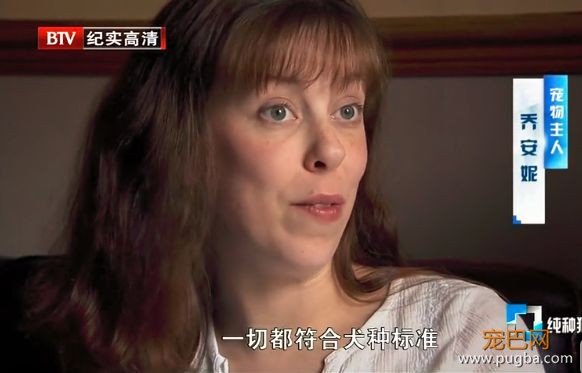 畸形变态的审美害了狗狗，我们欠它们的太多-18.jpeg