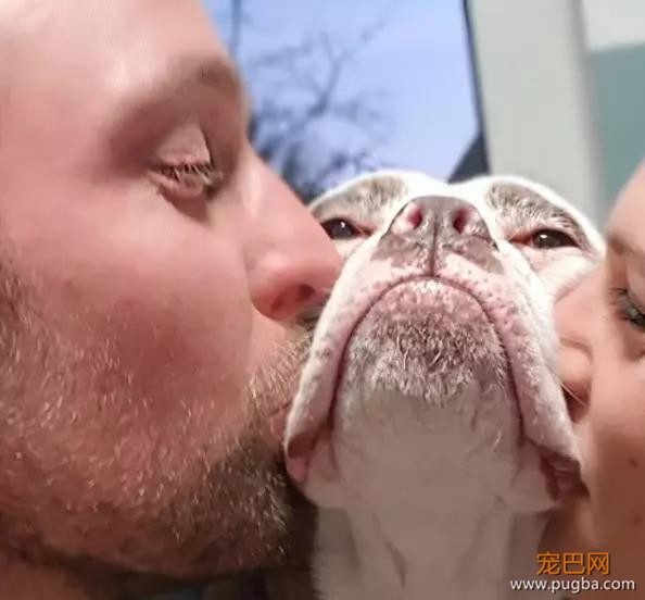 明明是只狗，却长着一张名模都羡慕的高级脸-9.jpg
