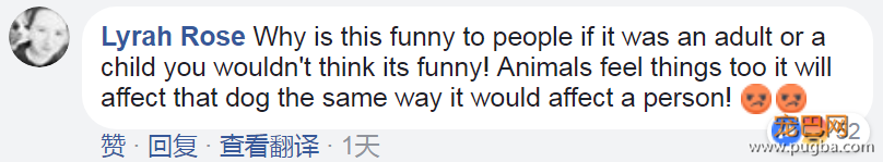 美国顶级律师性侵拉不拉多，网友：真是日了狗了-5.png