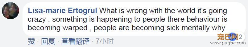 美国顶级律师性侵拉不拉多，网友：真是日了狗了-7.png