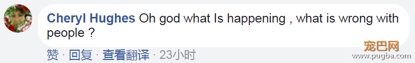 美国顶级律师性侵拉不拉多，网友：真是日了狗了-13.png