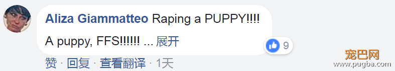 美国顶级律师性侵拉不拉多，网友：真是日了狗了-10.png