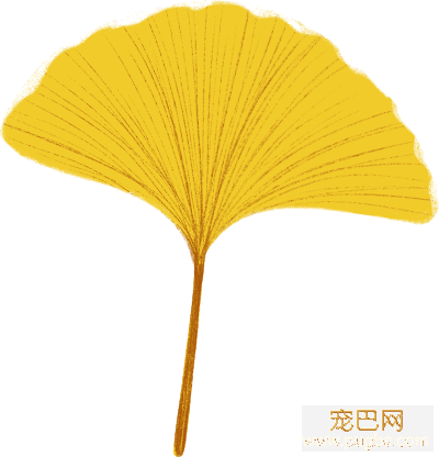 在狗眼里，我也是狗？-2.png