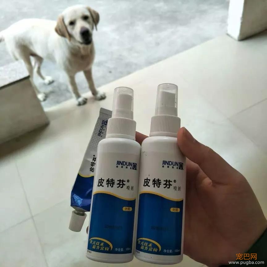 狗狗下巴长了颗痘，不让挤不让碰，还非要这样睡觉……-14.jpg