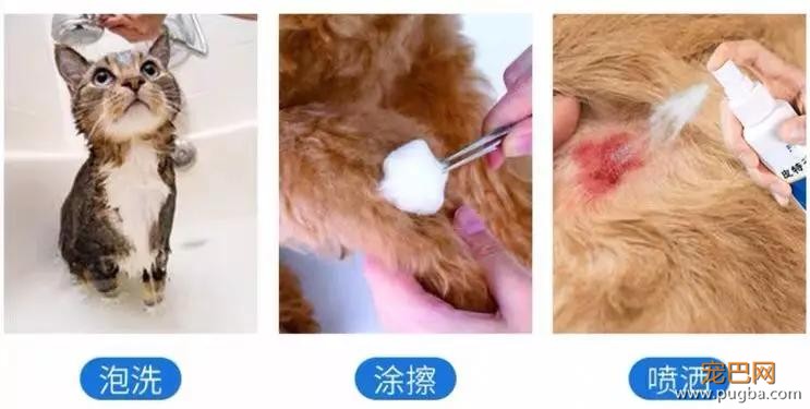 狗狗下巴长了颗痘，不让挤不让碰，还非要这样睡觉……-16.jpg