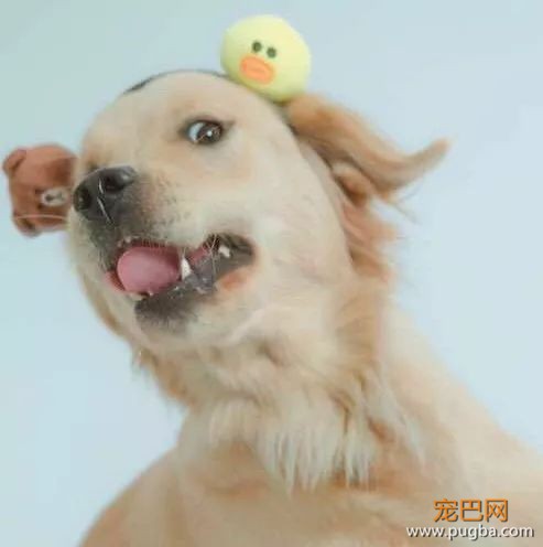 如果你离开我一两步，我会向着你走三步-6.jpeg