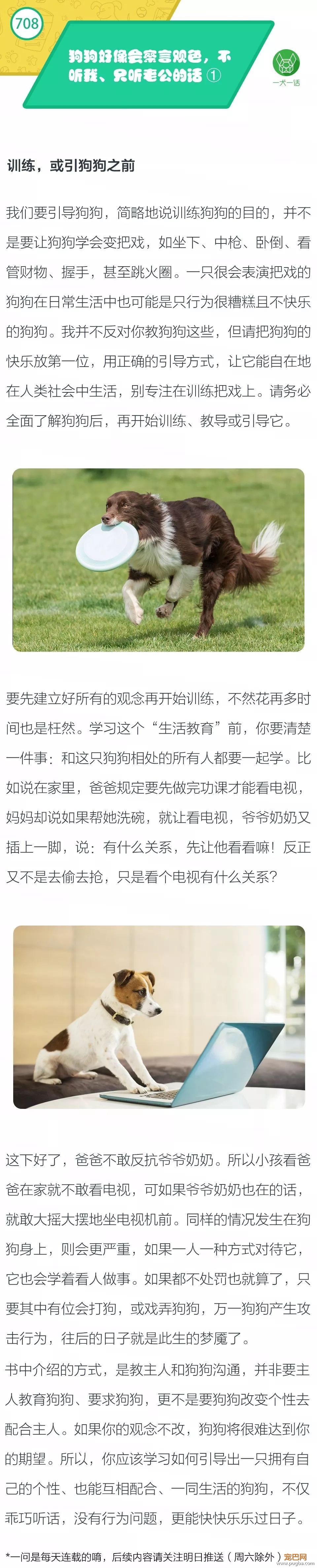 狗狗好像会察言观色，不听我、只听老公的话 ①-1.jpeg