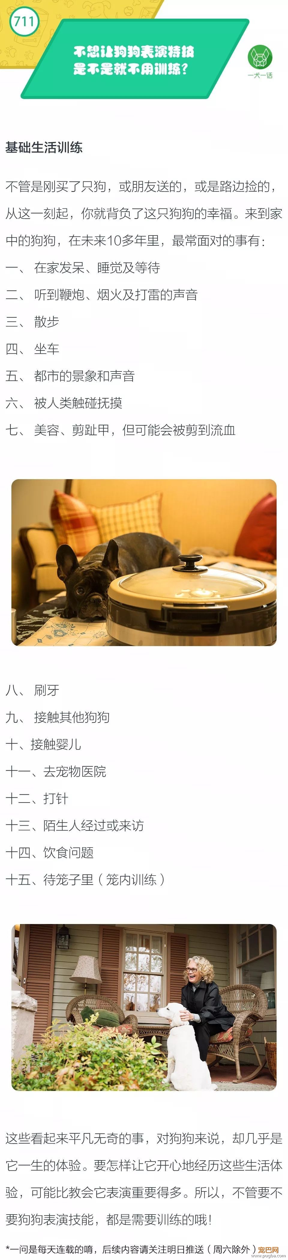 不想让狗狗表演特技，是不是就不用训练？-1.jpeg