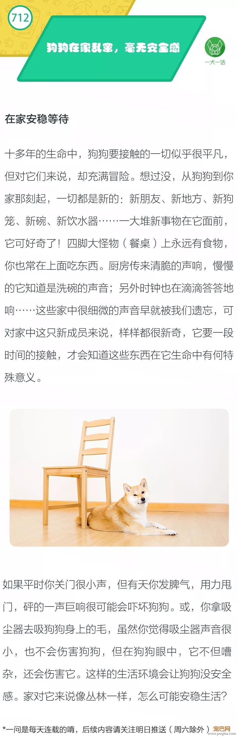 狗狗在家乱窜毫无安全感，怎么办？-1.jpeg