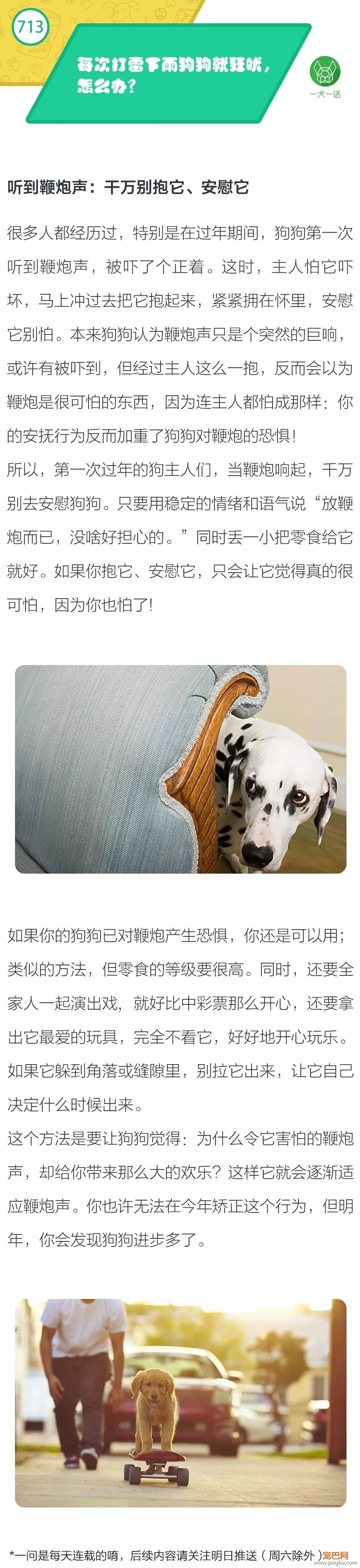 每次打雷下雨狗狗就狂吠，怎么办？-1.jpeg