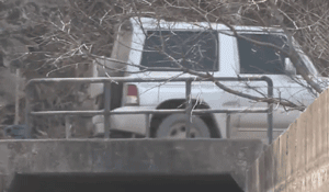 两只狗狗在水沟里等死，被救后却迟迟不肯离去，竟是因为…-9.gif