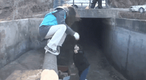 两只狗狗在水沟里等死，被救后却迟迟不肯离去，竟是因为…-10.gif