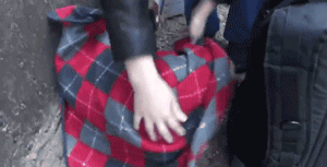 两只狗狗在水沟里等死，被救后却迟迟不肯离去，竟是因为…-14.gif