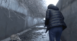 两只狗狗在水沟里等死，被救后却迟迟不肯离去，竟是因为…-17.gif