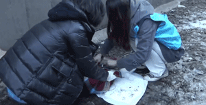 两只狗狗在水沟里等死，被救后却迟迟不肯离去，竟是因为…-21.gif