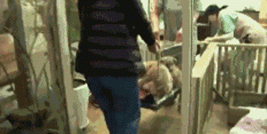 两只狗狗在水沟里等死，被救后却迟迟不肯离去，竟是因为…-23.gif