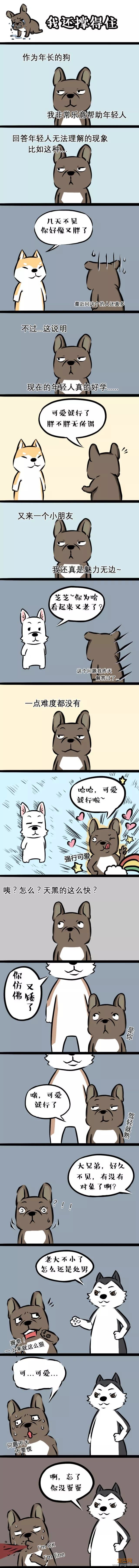 正在经历中年危机的芝麻-1.jpeg