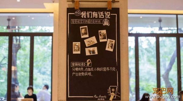 嘿，成都人！你家楼下的星巴克能带狗了-8.jpeg