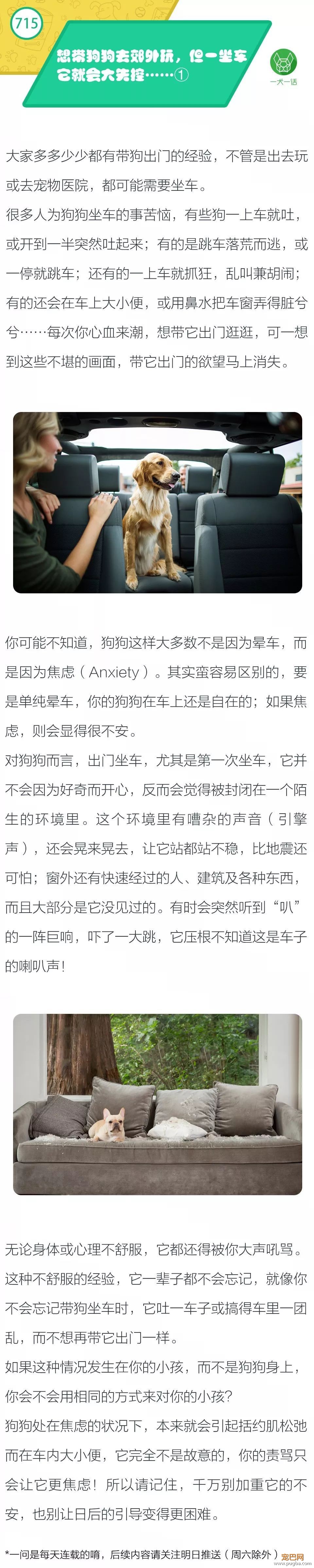想带狗狗去郊外玩，但一坐车它就会大失控…… ①-1.jpeg