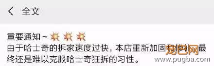 哈士奇主题的咖啡馆，半年后就因拆家问题开不下去了-4.jpg