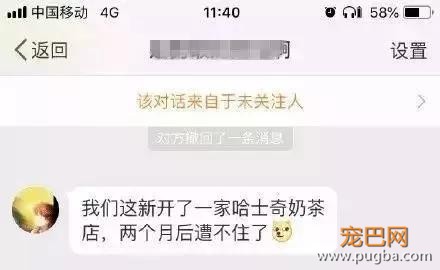 哈士奇主题的咖啡馆，半年后就因拆家问题开不下去了-3.jpg