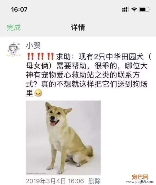 小狗咬伤人，这个小区的做法也太暖了-4.jpeg