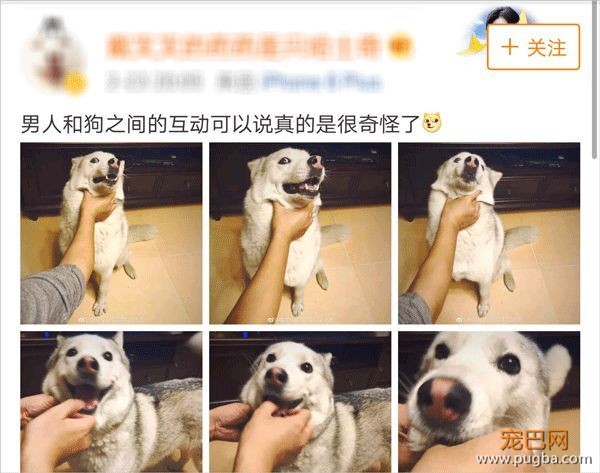 # 有奖征集 # 男人和狗之间的互动-1.jpeg