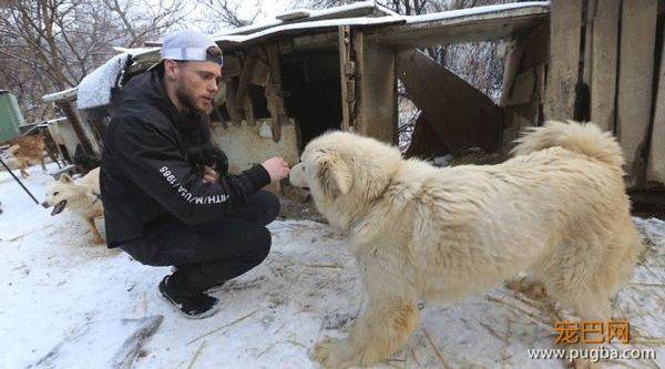奥运会决赛前一天还在照顾流浪狗，这位美国90后滑雪运动员太不务正业！-25.jpeg