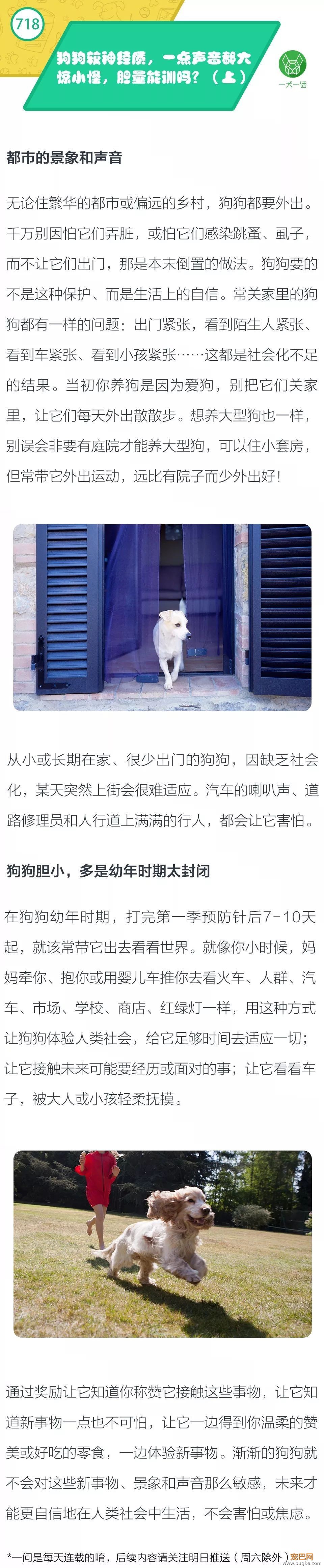 狗狗较神经质，一点声音都大惊小怪，胆量能训吗？（上）-1.jpeg