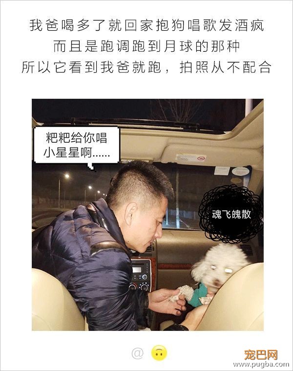 男人和狗之间的互动，可以说是很可怕了-4.jpeg
